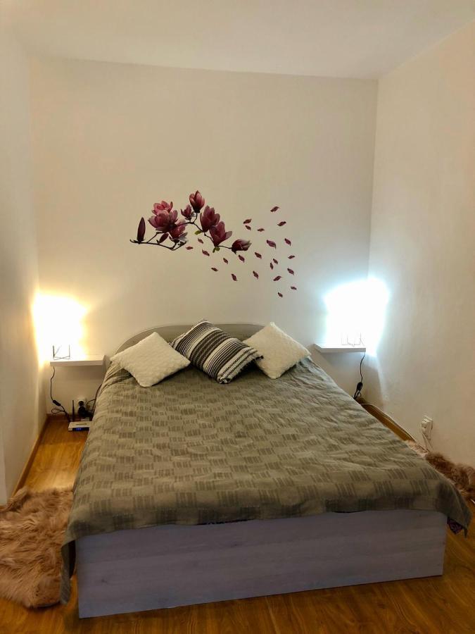 Apartmán Mia'S House Piteşti Exteriér fotografie