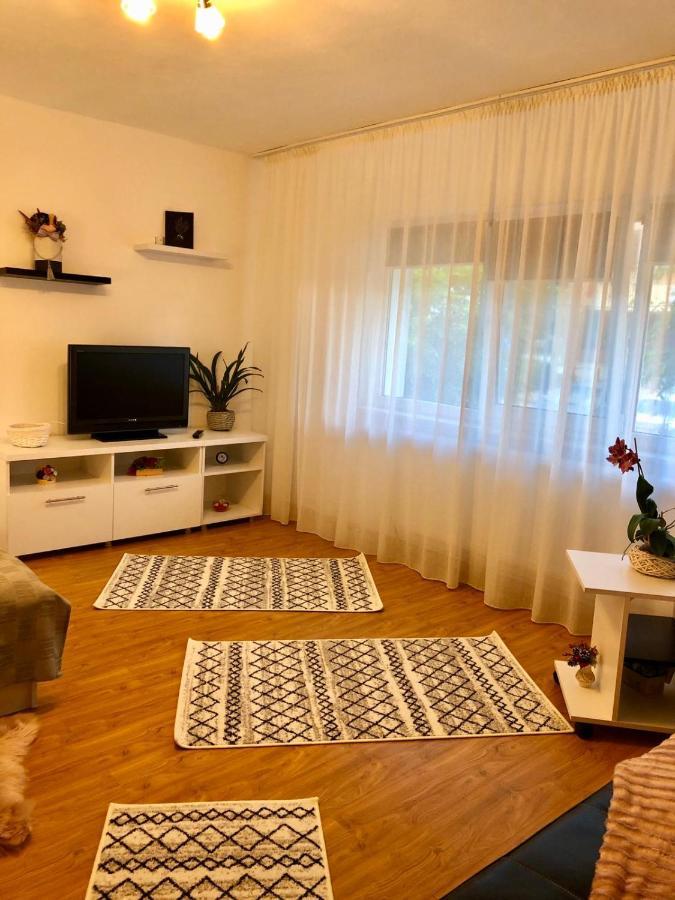 Apartmán Mia'S House Piteşti Exteriér fotografie
