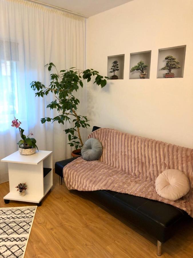 Apartmán Mia'S House Piteşti Exteriér fotografie